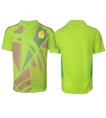 Mexico Goalkeeper Replica Away Stadium Shirt Copa America 2024 Short Sleeve